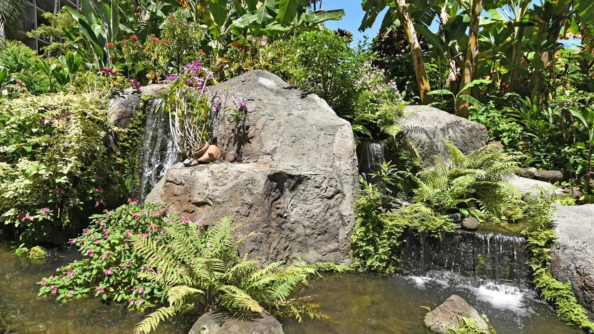 度假居 Kaanapali Shores 819 卡哈纳 美国